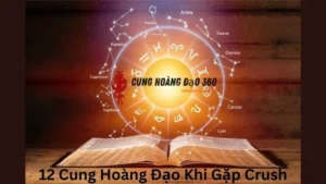 12 Cung Hoàng Đạo Khi Gặp Crush